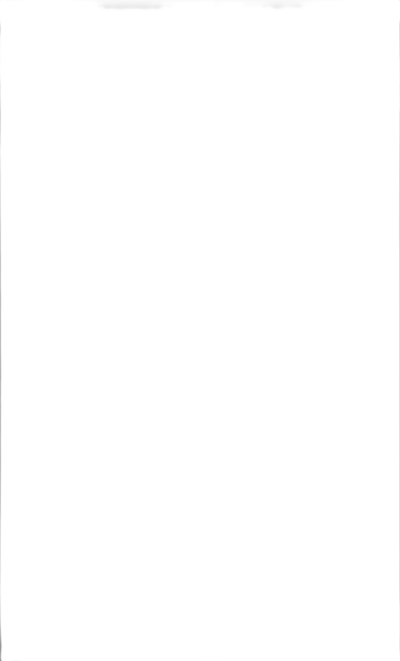 KAKEL BLANCO BLANK VIT 25X40CM 15/KRT HELKARTONG
