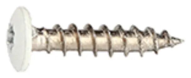 Fastex 125400199010 Bleckskruv 1000-pack, Stainlex, 4,0 x 19 mm Vit - Bild 2