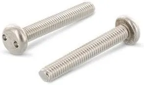 Schäfer & Peters 91012610 Säkerhetsskruv M6, med cylinderhuvud, A2, 100-pack M6 x 10 mm