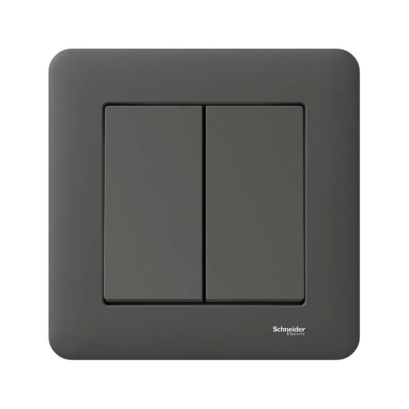 Schneider Electric Exxact WDE008422 Strömbrytare infälld, antracit 1-pol/trapp